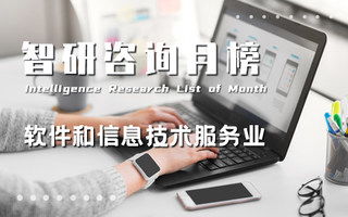 智研排行榜 洞察地區經濟、行業與產品趨勢的信息技術咨詢服務